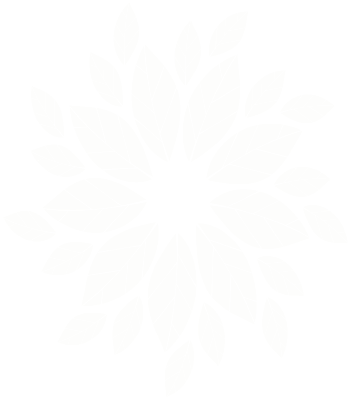Mandala Background